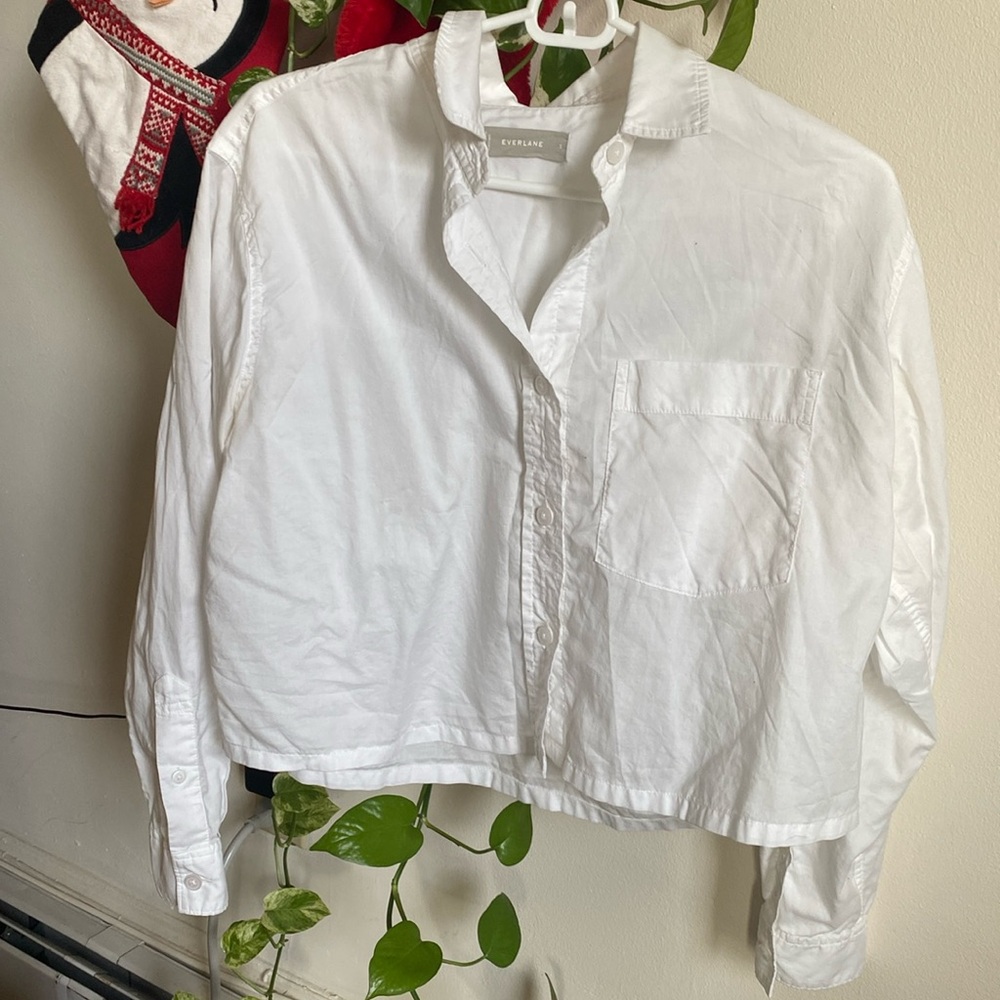The Way High Cotton Cropped Button Down Everlane